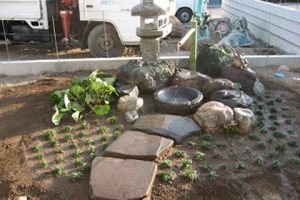 gardening_img017