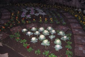 gardening_img025